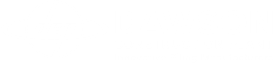 Dawson Construction Logo White